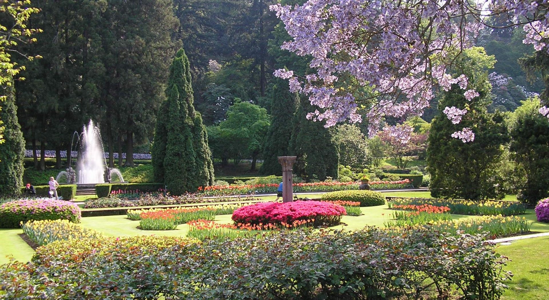 garden2